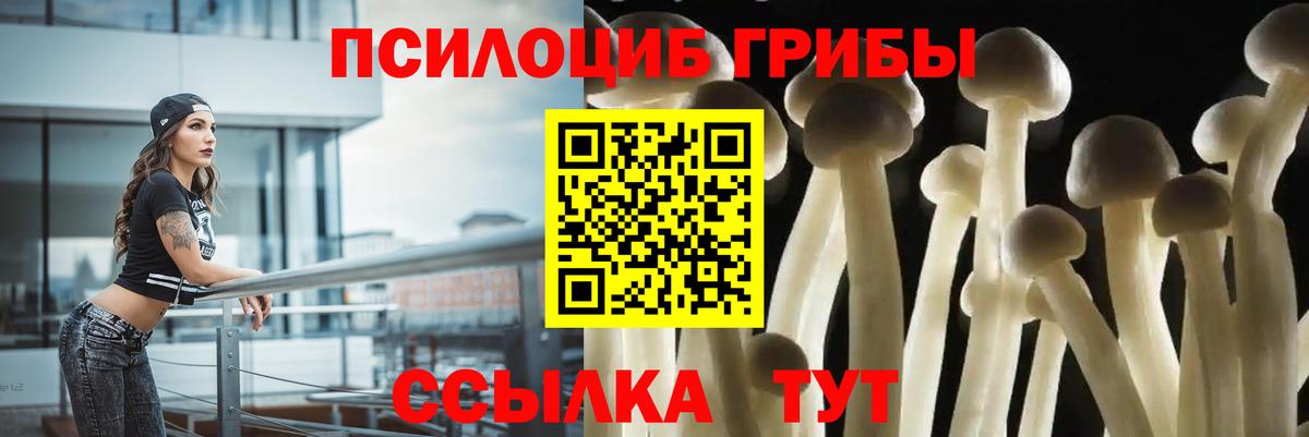 Псилоцибиновые грибы Cubensis  Галлюциногенные грибы Cubensis  Вход с VPN  Калининград 