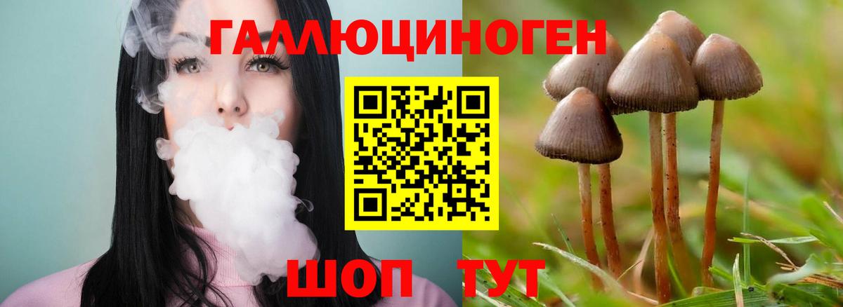 Псилоцибиновые грибы GOLDEN TEACHER Калининград